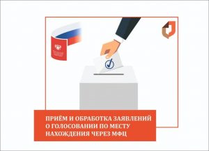 #МФЦ Дагестана начали прием заявлений о голосовании по месту нахождения9